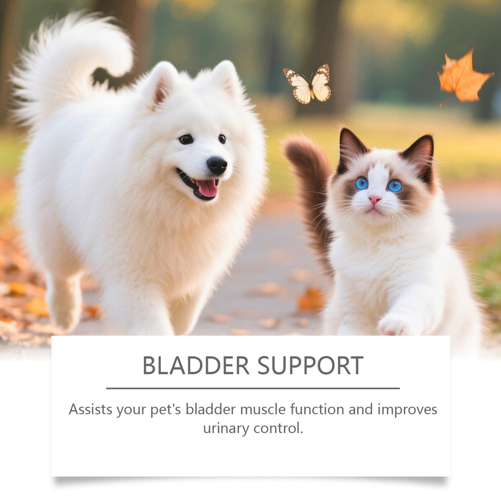 Cat And Dog Urinary Health Drops