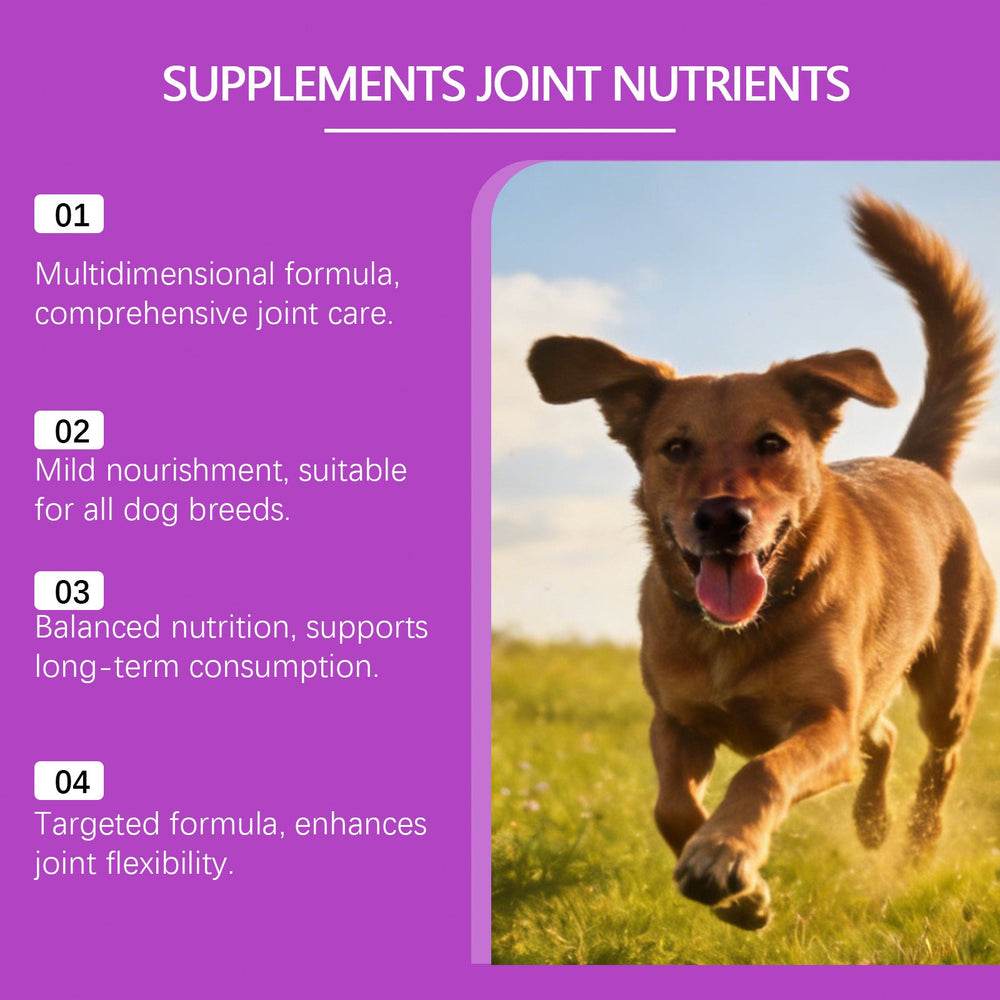 Joint Health Chewable Tablets For Dogs