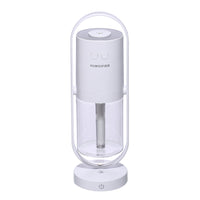 Anion humidifier