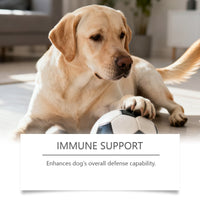 Daily Probiotic Soft Granules For Dog Gut Health