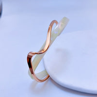 Light-luxury Panel Curved Metal-textured Korean-style Trendy Social Media Worthy Jewelry