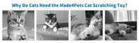 Indoor Cat Soft Scratching Board And Interactive Ball Track Toy Cat Rest And Grooming Supplies